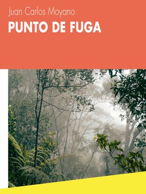 cover image of Punto de fuga